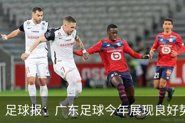 足球报：广东足球今年展现良好势头，广州豹、深圳青年人全力冲超