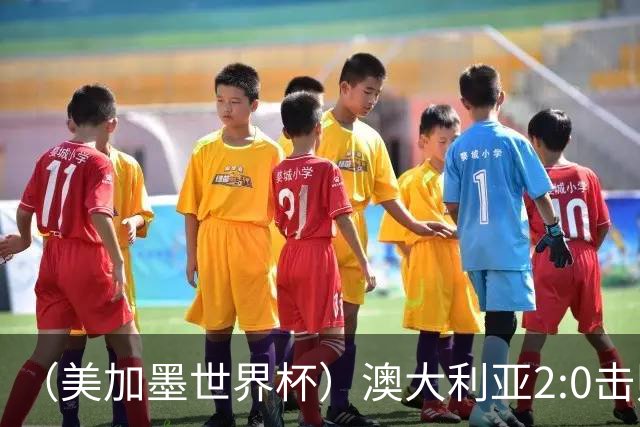 （美加墨世界杯）澳大利亚2:0击败土耳其 中国裁判迎本届杯赛首秀